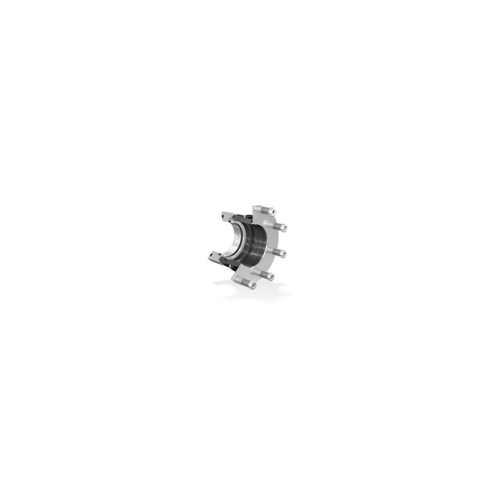 4AP Component mechanical seal