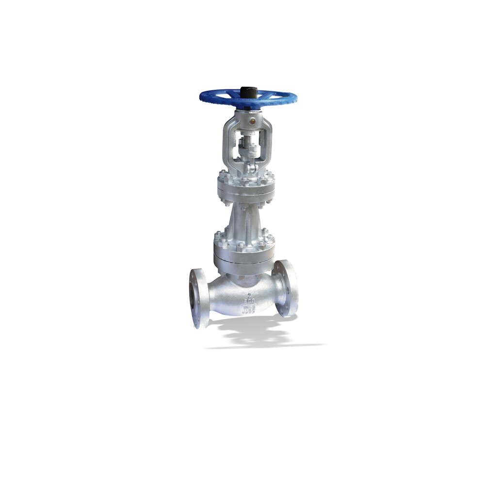 ECOLINE GLB 150-600 Globe valve