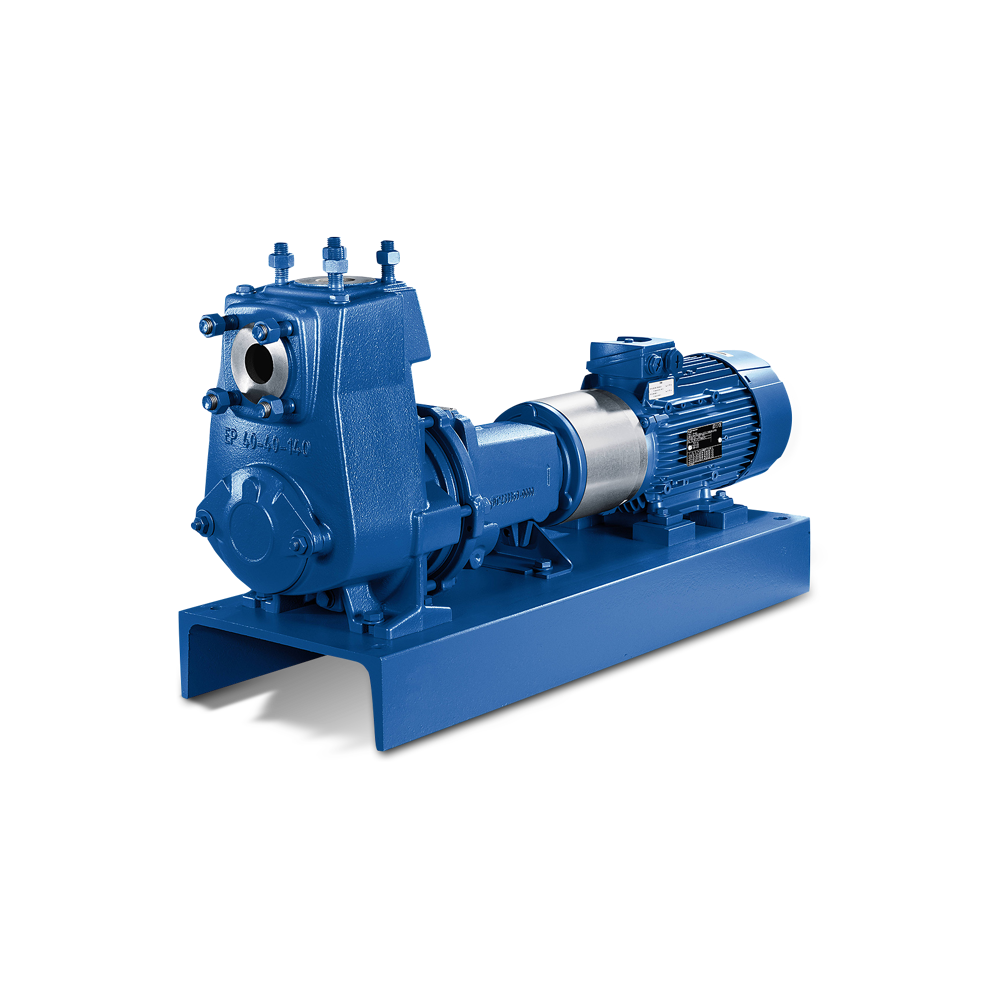 Etaprime L Dry-installed pump