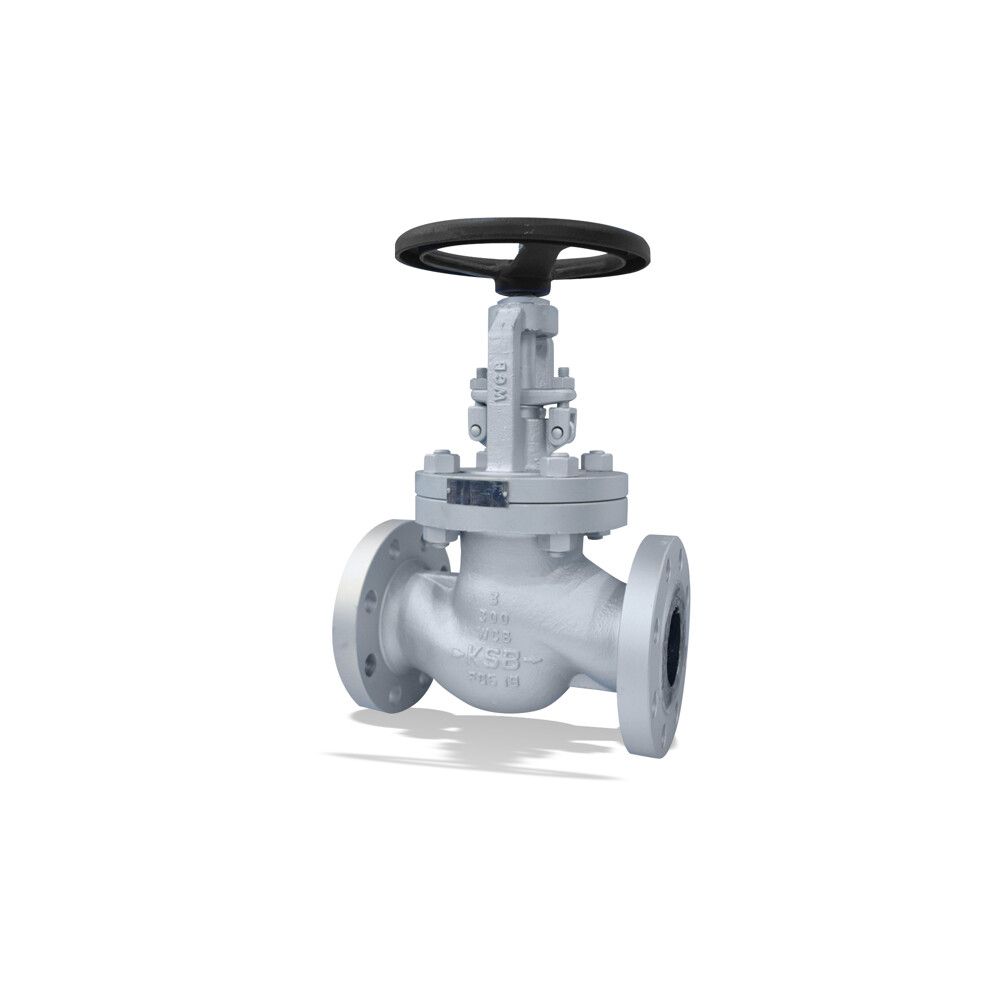 ECOLINE GLC 150-600 Globe valve