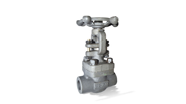 ECOLINE GTF 800