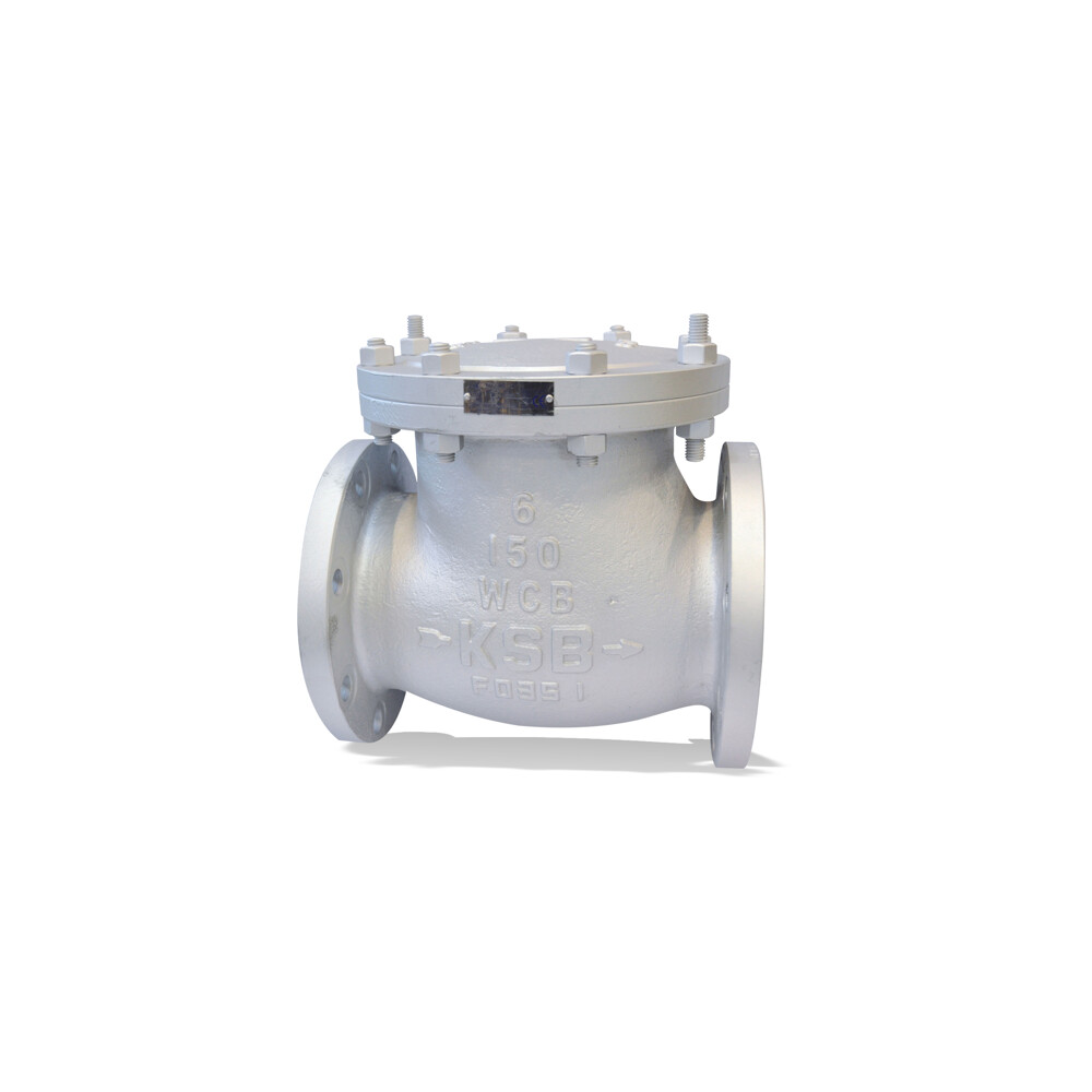 ECOLINE SCC 150-600 Swing check valve
