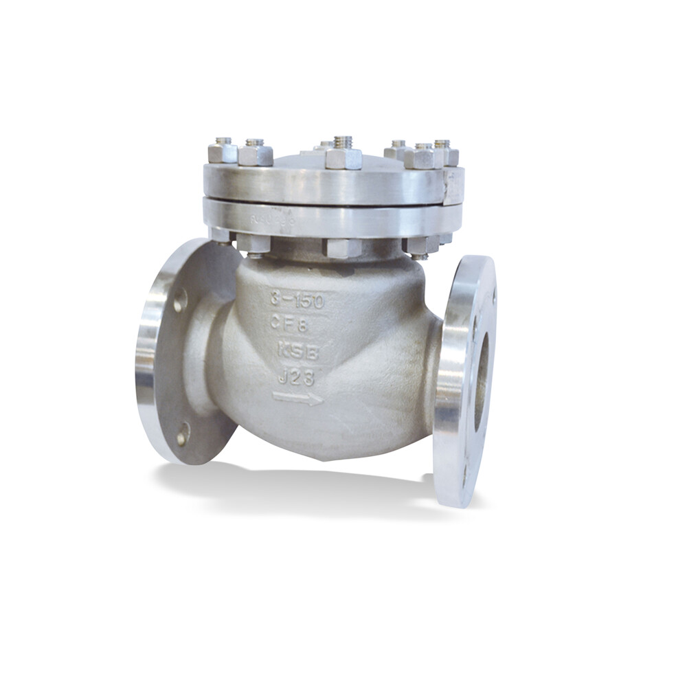 ECOLINE SCV 150-300 Swing check valve