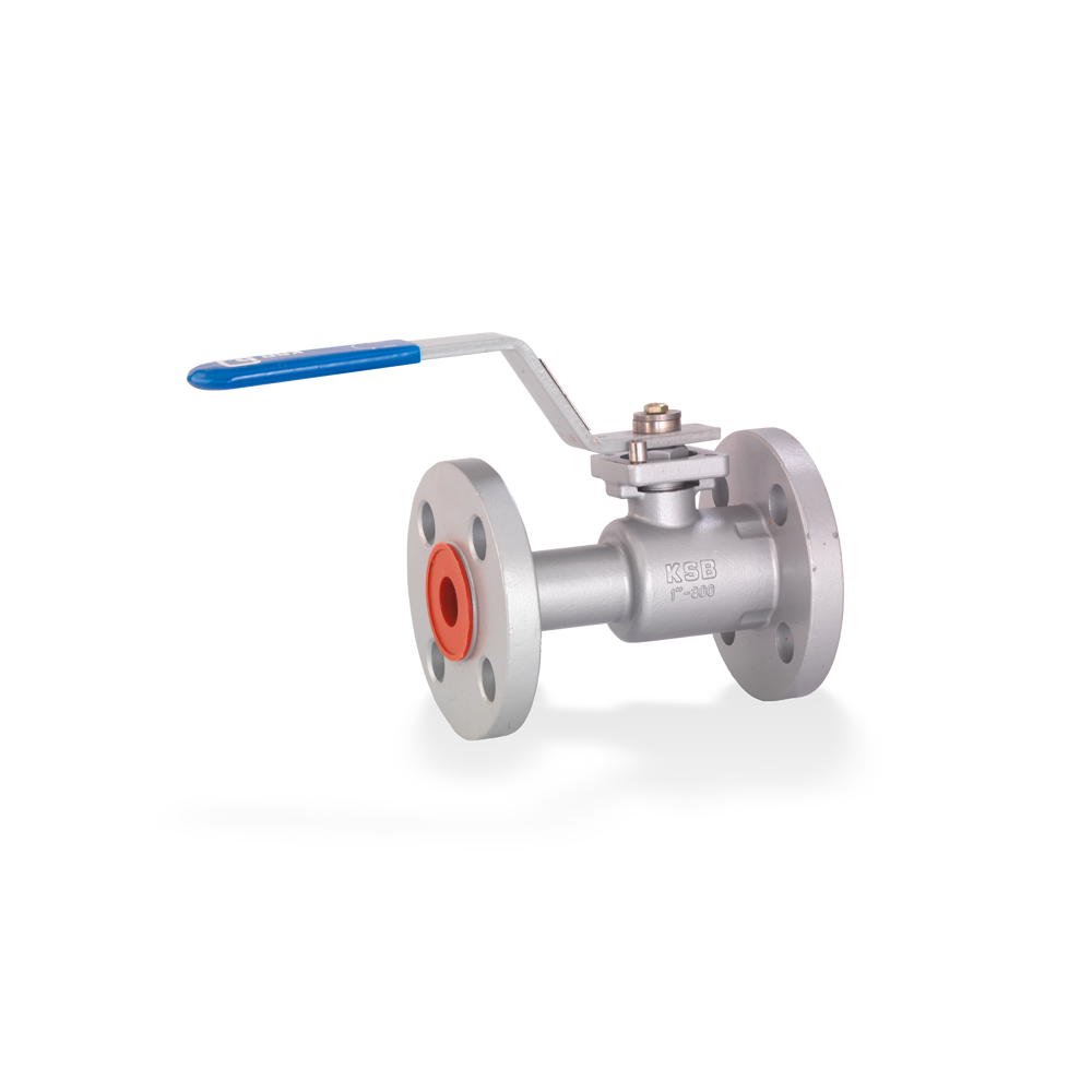 ECOLINE BLN-S 150-300 Robinet à tournant sphérique