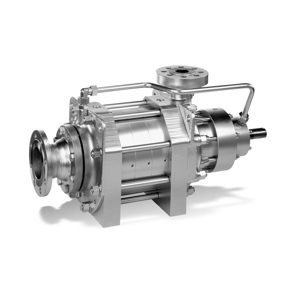 HGM/HGM-S Ring-section pump