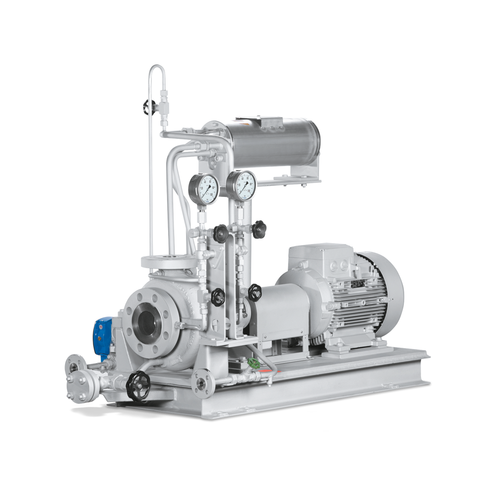 HPH Dry-installed pump