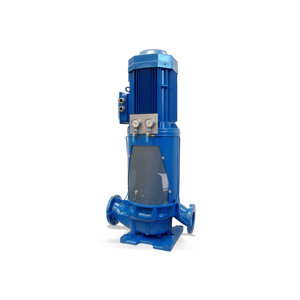 ILN Dry-installed pump