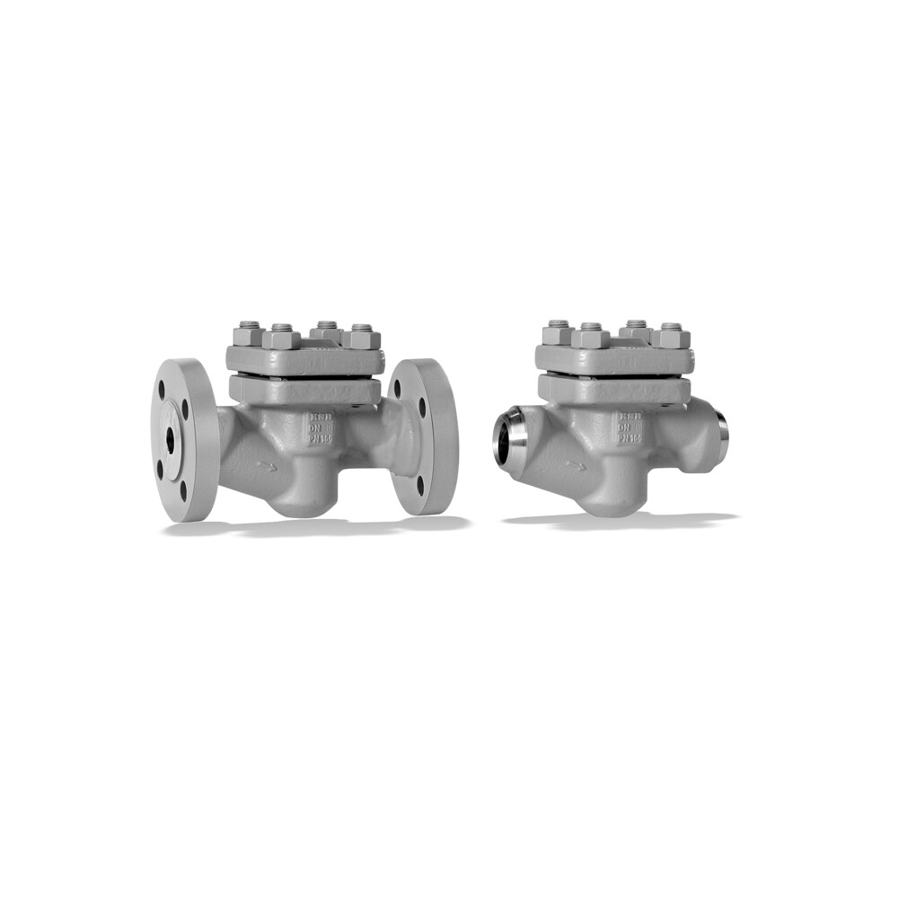 NORI 160 RXL/RXS Lift check valve