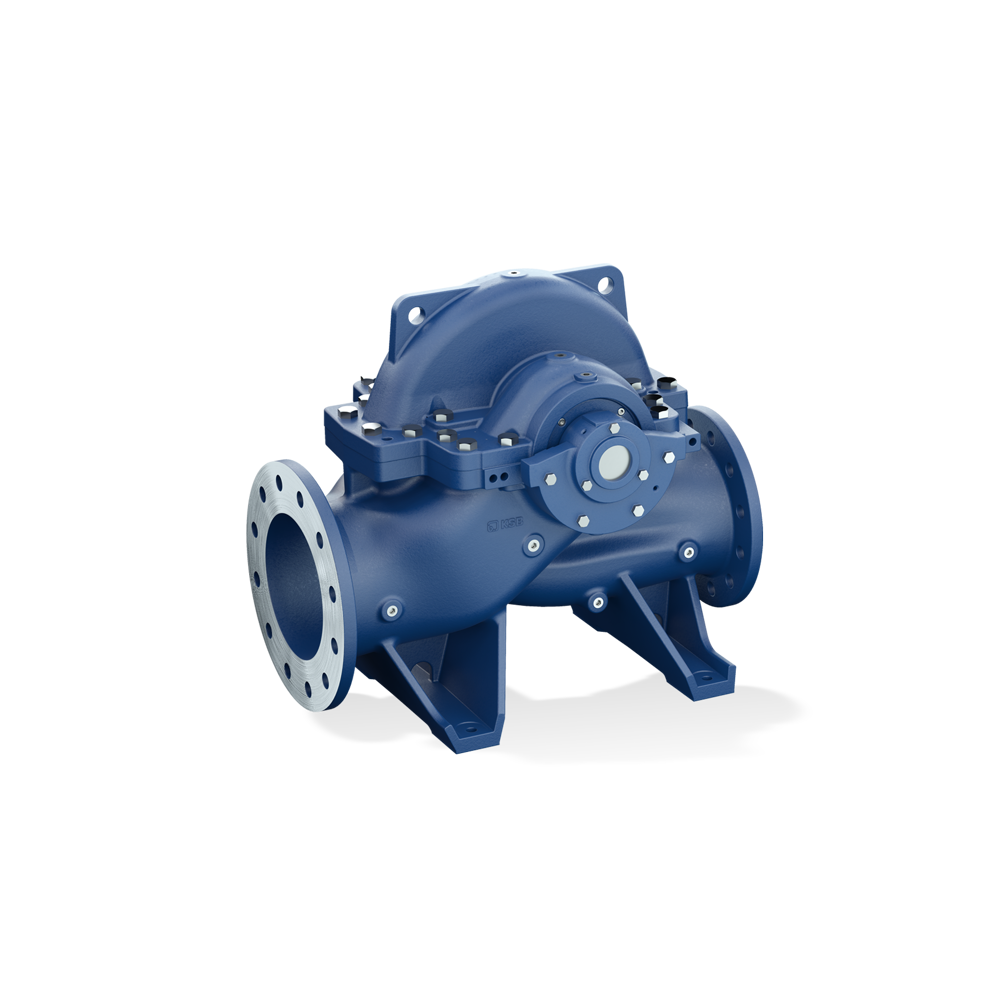 Omega Dry-installed pump