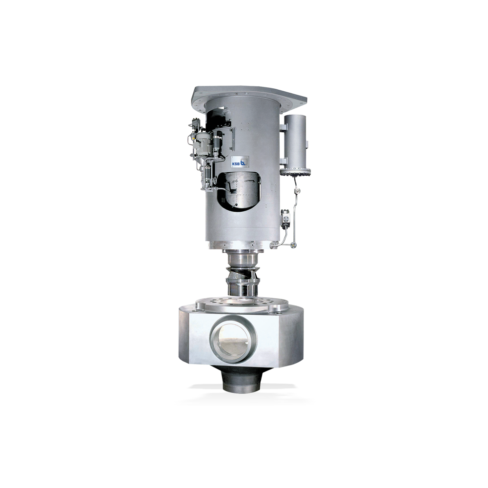 RER Dry-installed pump