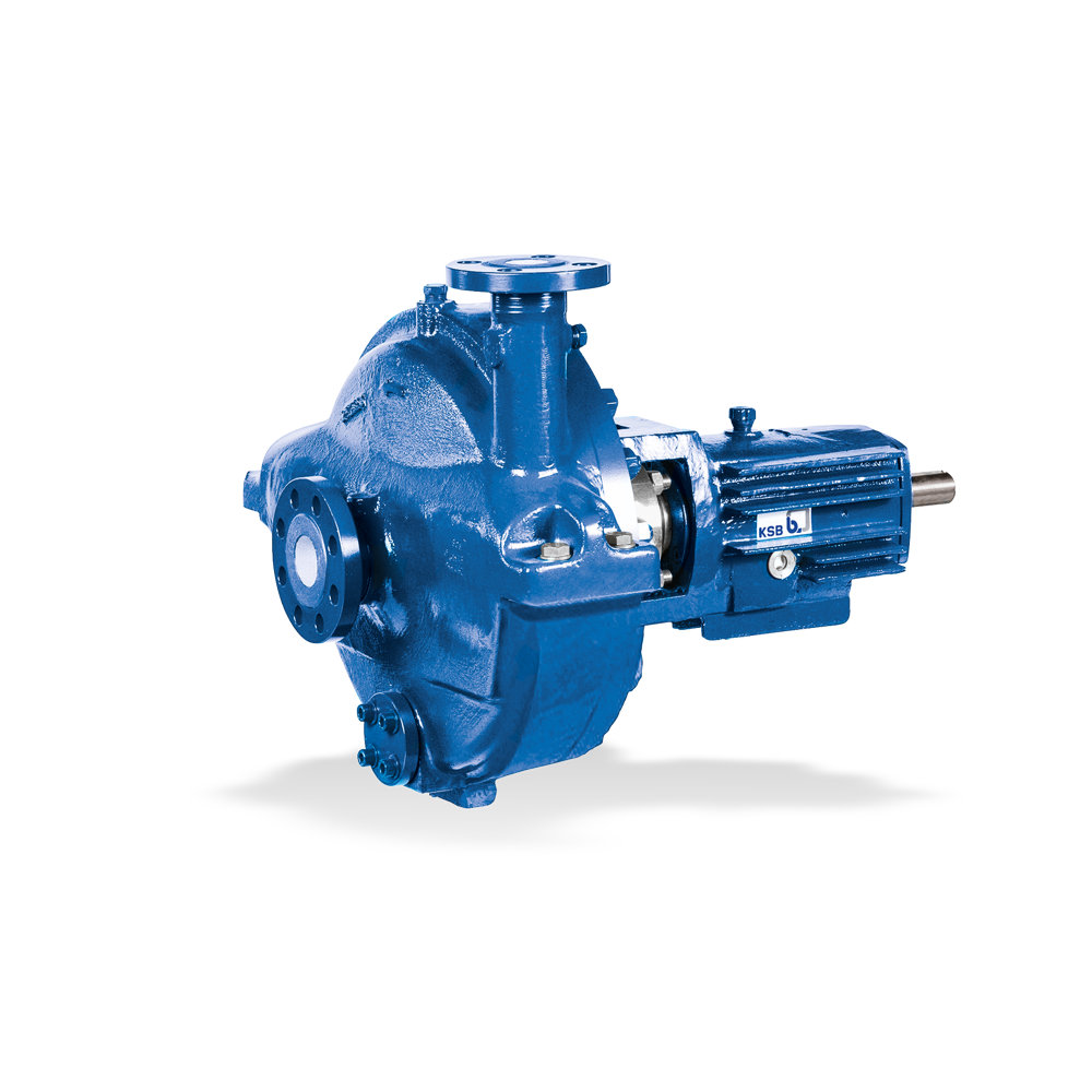 RPH-RO droog opgestelde pomp