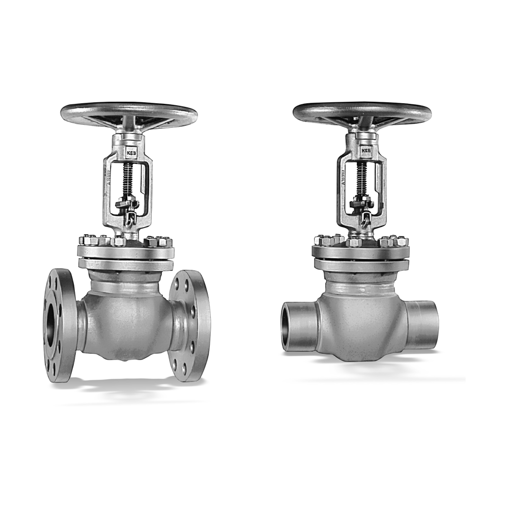 STAAL 100 AKD/AKDS Gate valve