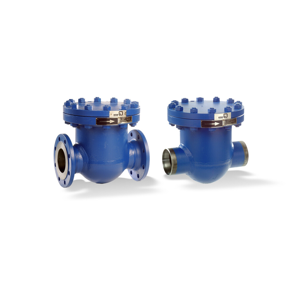 STAAL 40 AKK/AKKS Swing check valve