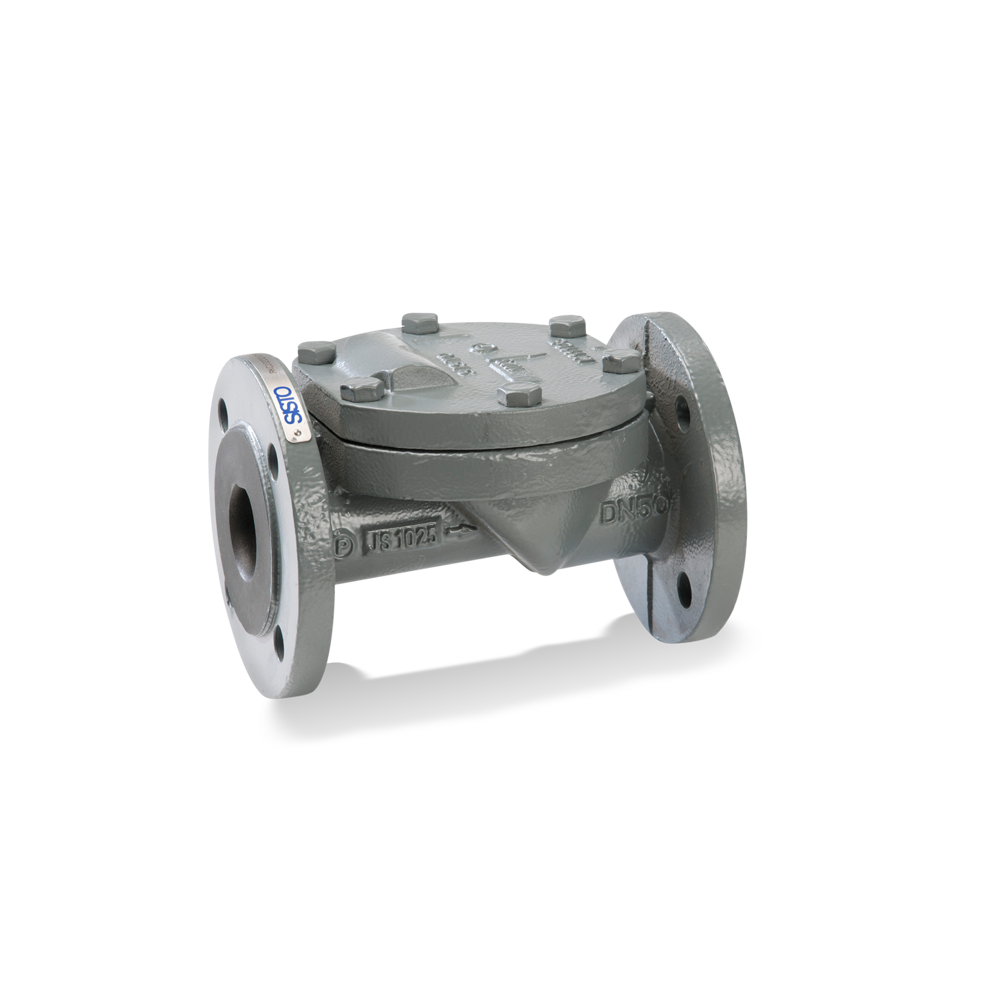 SISTO-RSKNA Swing check valve