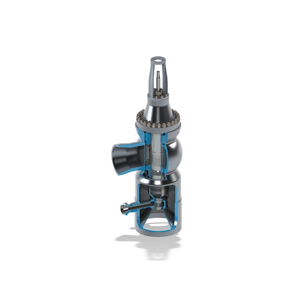 Welland & Tuxhorn Globe valve