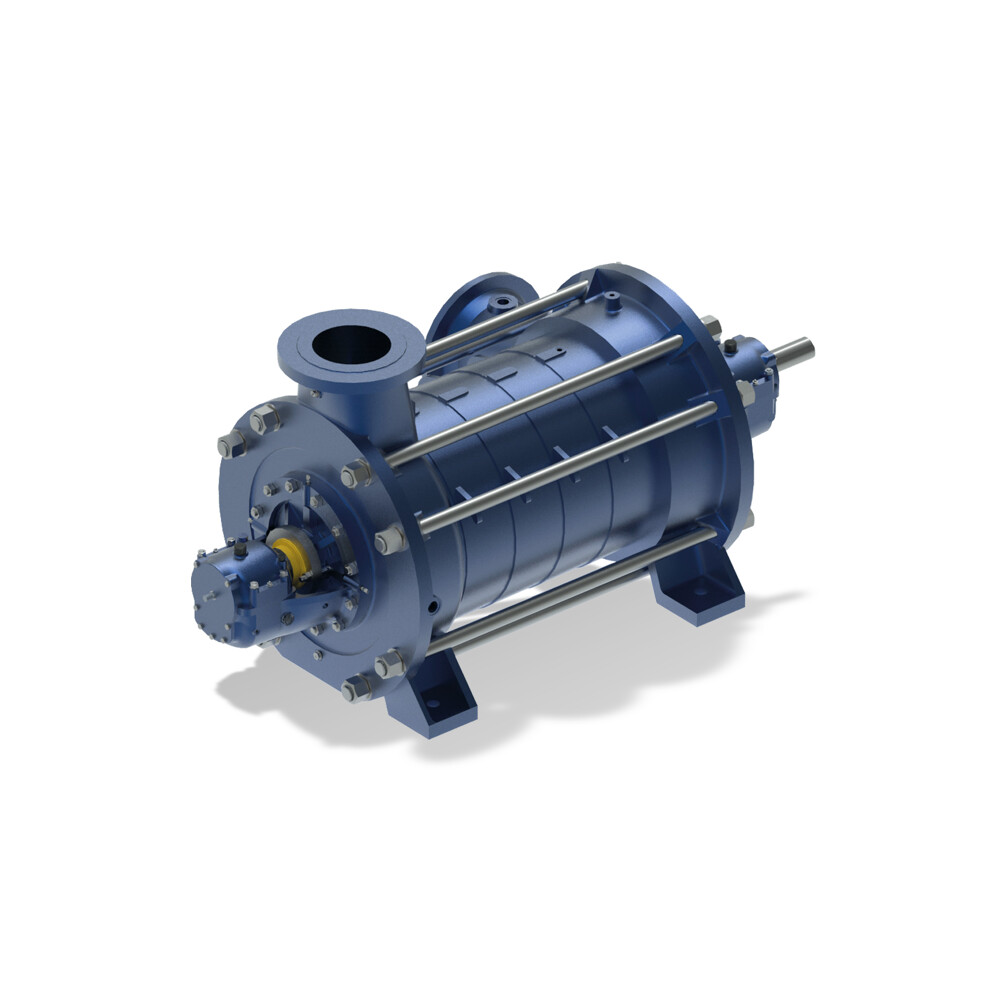 WLn Ring-section pump