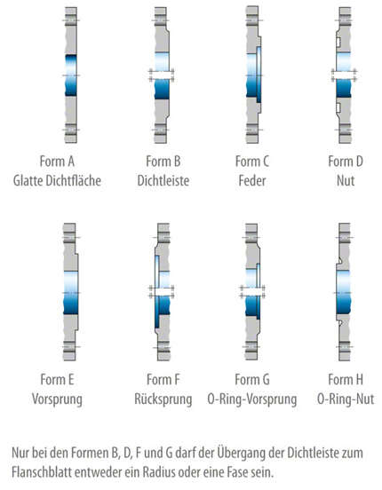 Abb. 1 Flanschform: Dichtleisten-Ausführungen