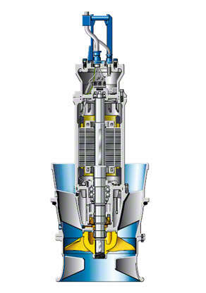 Maintenance-free propeller pump with submersible motor and adjustable blades