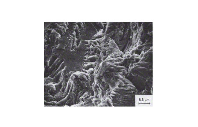 Fig. 12 Corrosion: Fracture surface resulting from corrosion fatigue (SEM picture) SEM = Scanning electron microscope