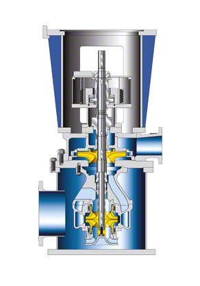 Fig. 2 Condensate pump: Vertical dry-installed model with double-entry suction stage
