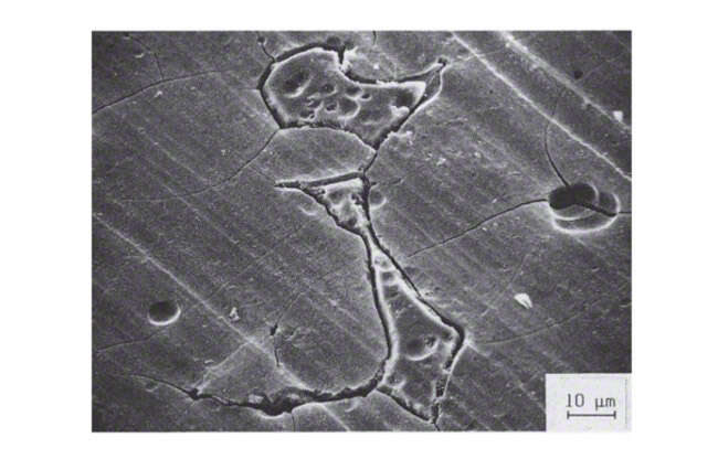 Fig. 7 Corrosion: Intergranular attack (SEM image); SEM = scanning electron microscope)