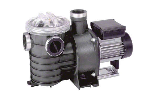 Fig. 1 Circulating pump: Self-priming circulating pump made of plastic, for swimming pool filtering systems Fig. 1 Circulating pump: Self-priming circulating pump made of plastic, for swimming pool filtering systems