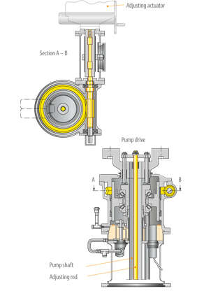 Gearing for actuating the adjusting rod in the pump shaft