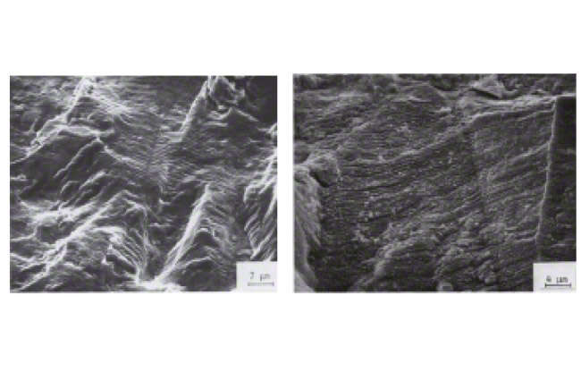 Fig. 1 Damage: Appearance of a fractured surface following rotating bending/vibration fatigue failure