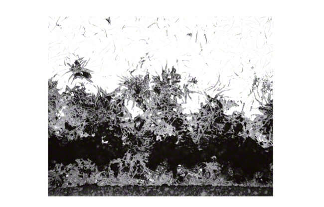 Fig. 6 Corrosion: Spongiosis (micrograph)