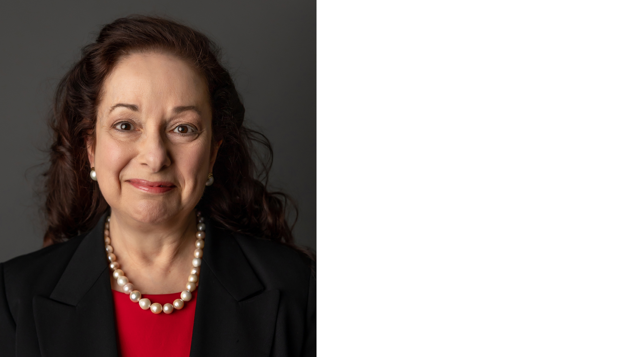 Audrey Schumacher TurneRegional Legal Counsel – KSB North America, Local Compliance Officer USA