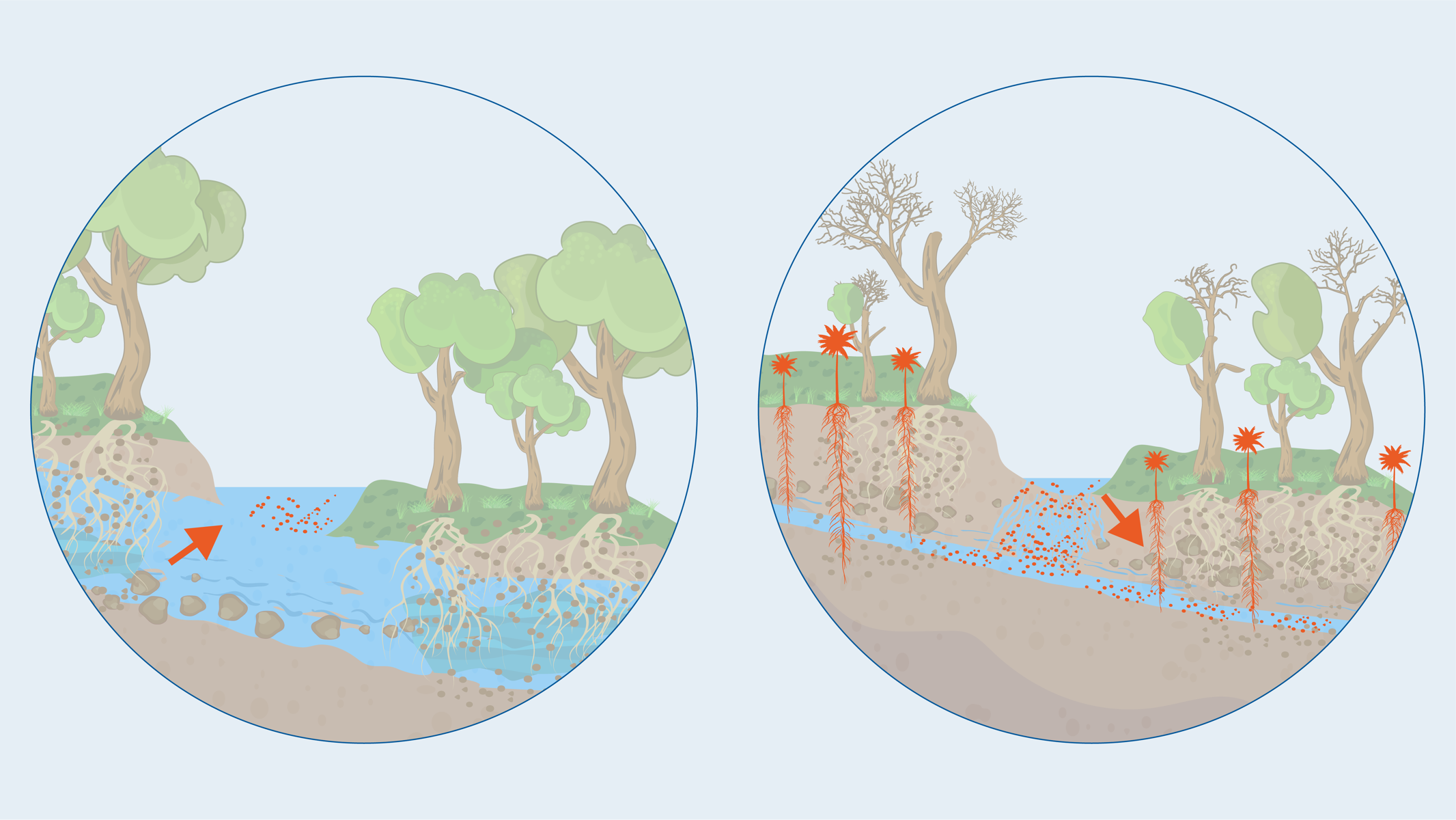 Folgen des absinkenden Grundwasserspiegels Gliederpumpe Multitec