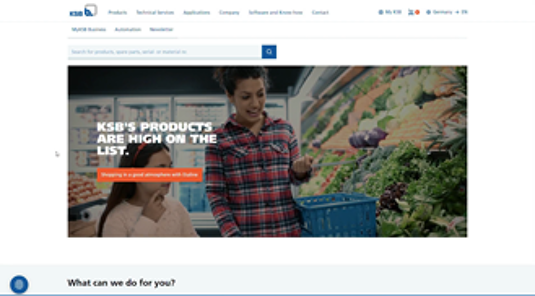 How to find the right product on the KSB web site