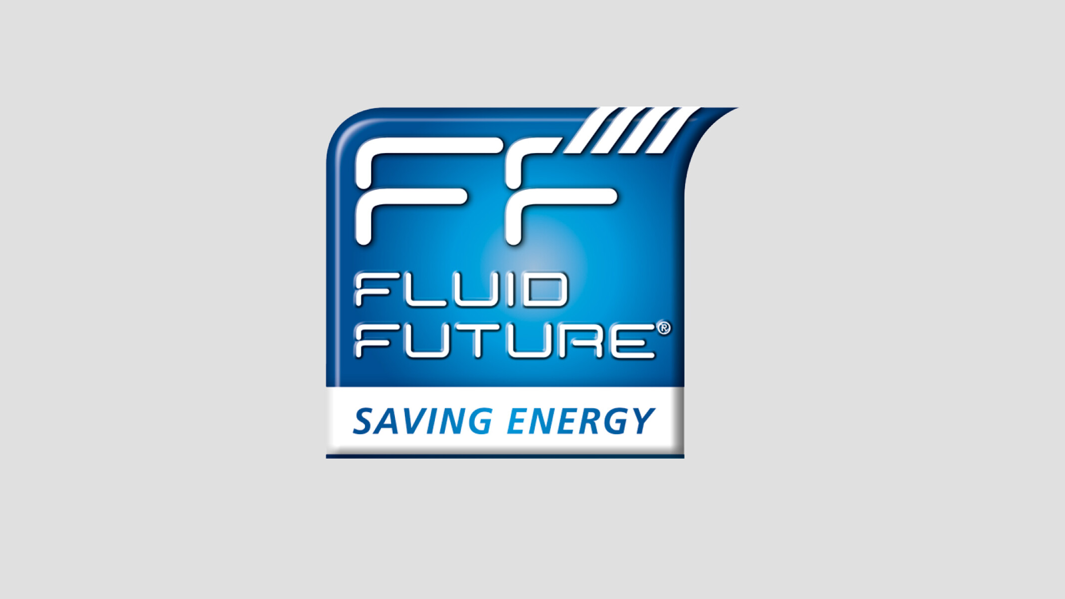 Energy efficiency consulting (Fluid Future) for pumps and valves