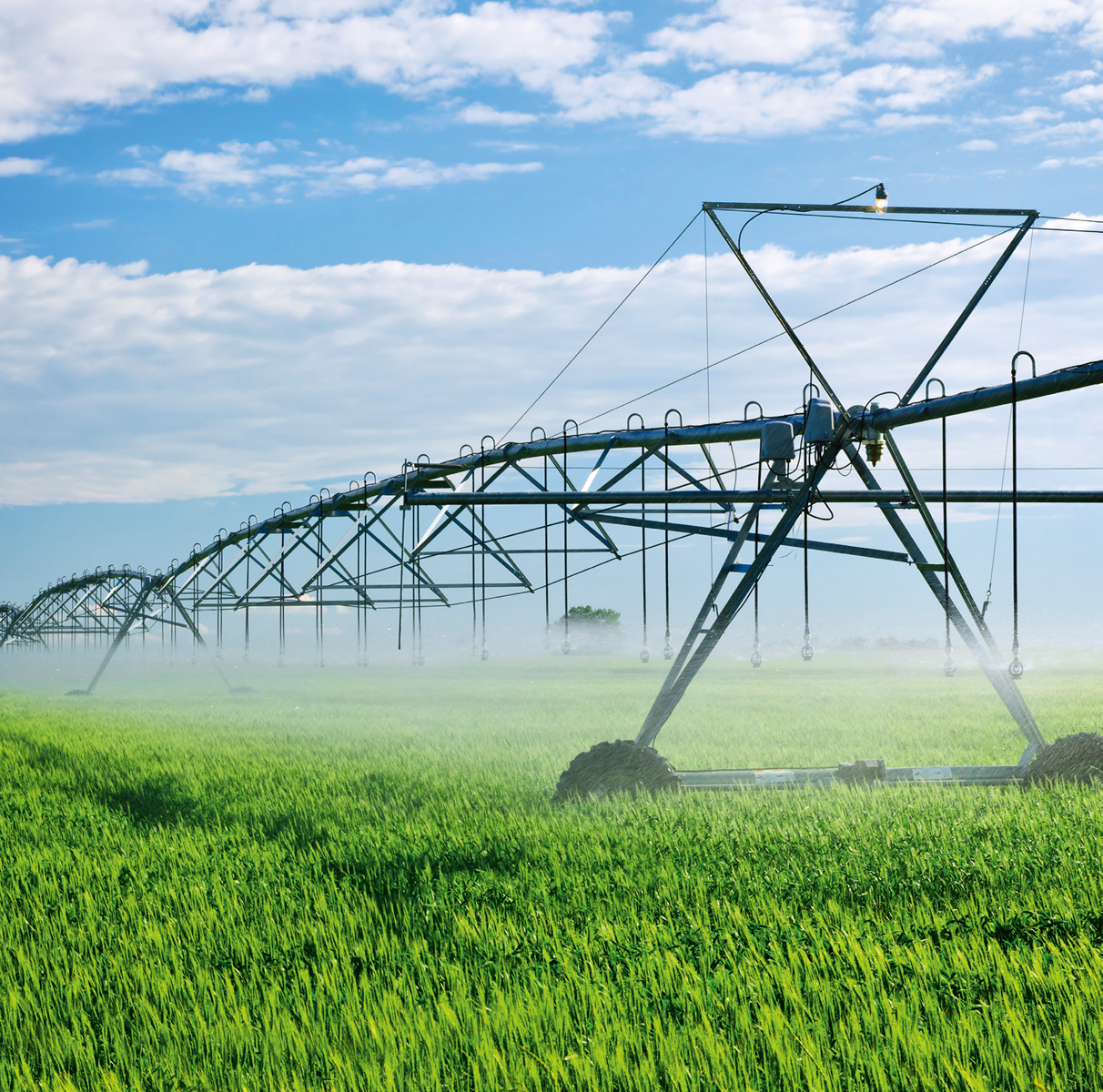 KSB well pumps in use for irrigation