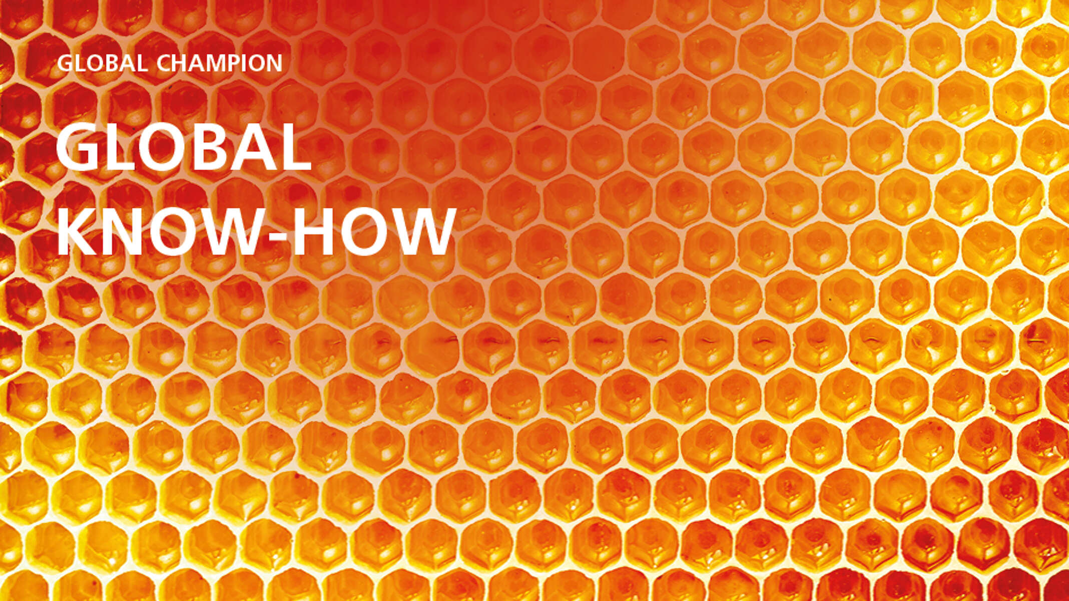 SD_210x90_KSBIMAGE4 (1)