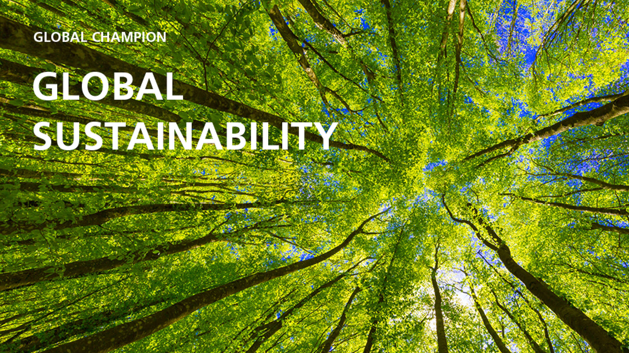 SD_210x90_KSBIMAGE4 (1)