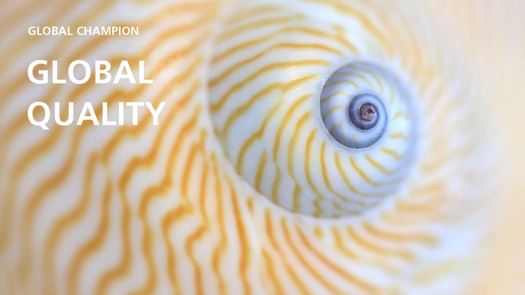 SD_210x90_KSBIMAGE4 (1)