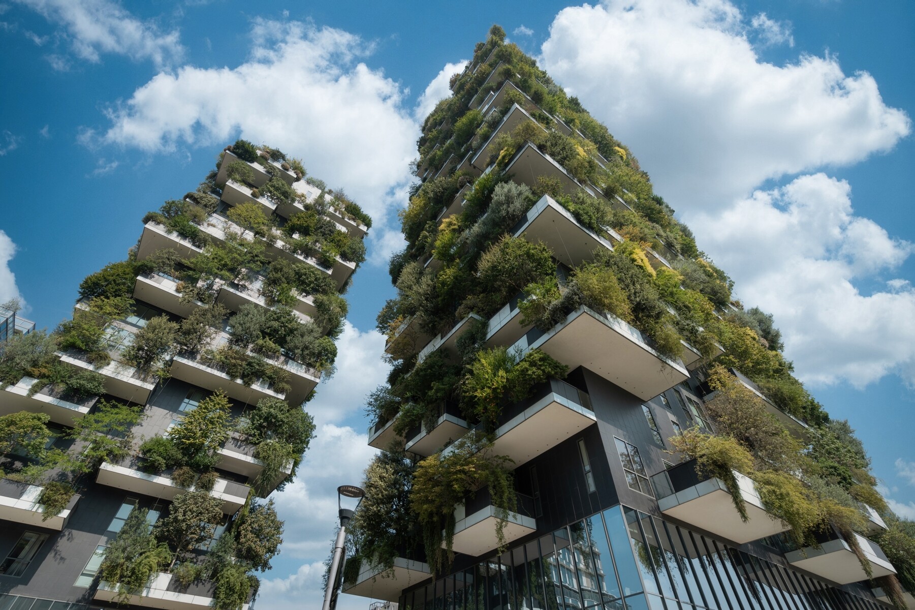 Eine mit Pflanzen bewachsene Fassade eines modernen Gebäudes
