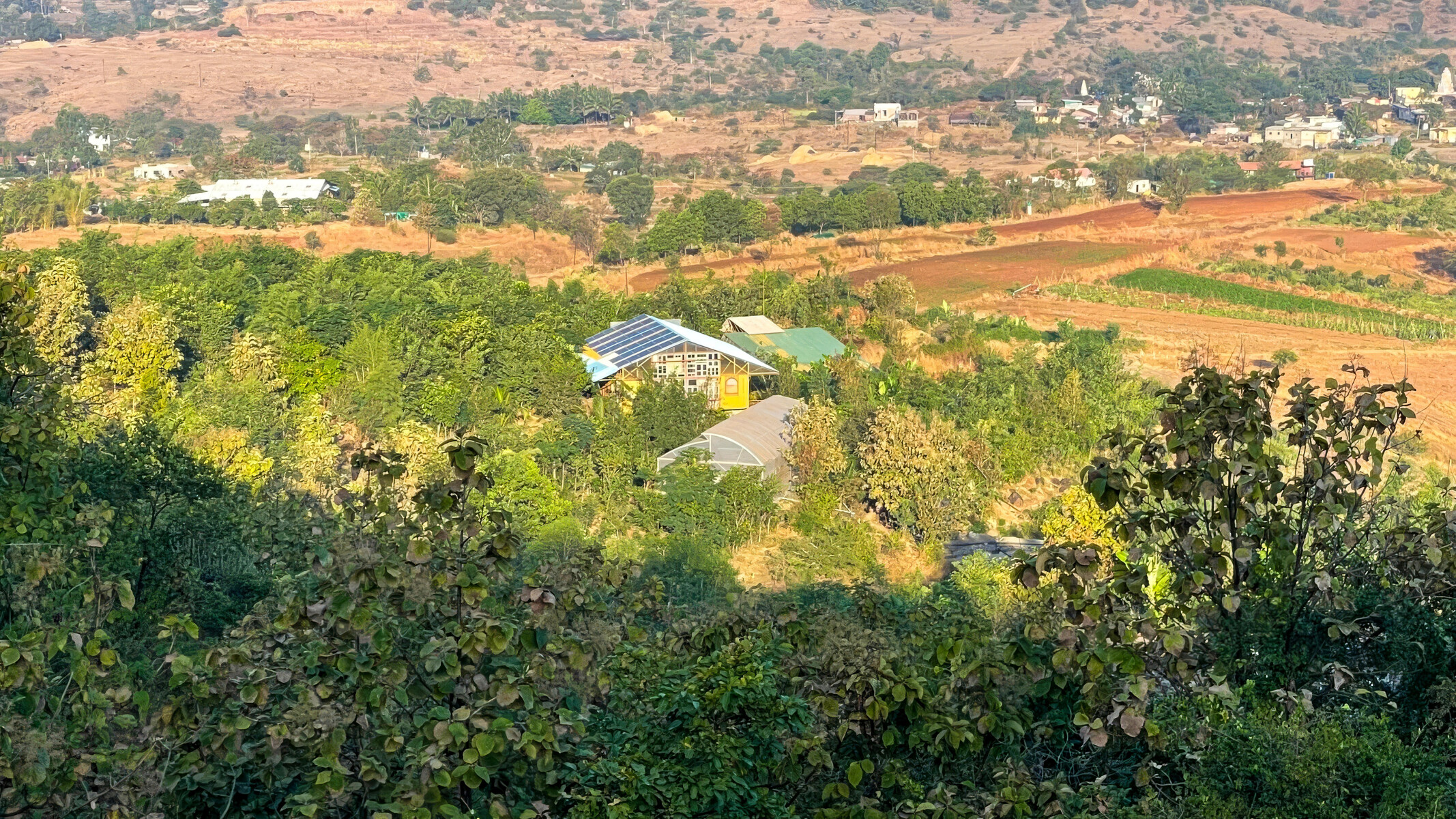 Ein Landschaftsfoto zeigt das Gelände der Farm mit vielen grünen Bäumen.