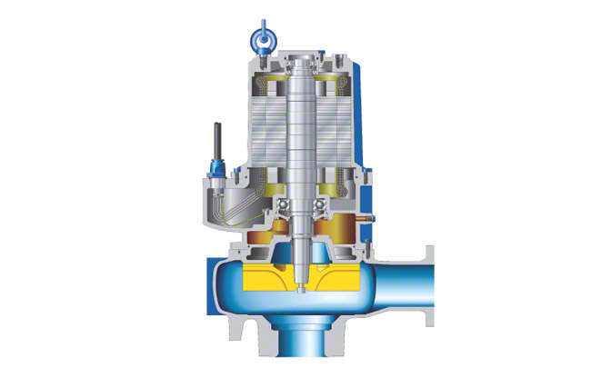 Fig. 1 Torque flow pump: Submersible motor pump with free-flow impeller