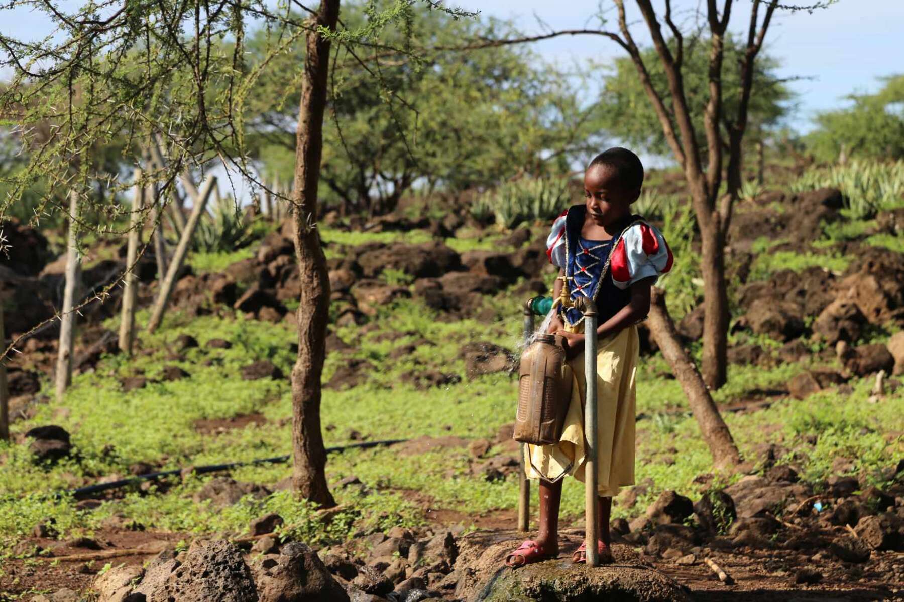 A child filling a plastic container with drinking water from a tap