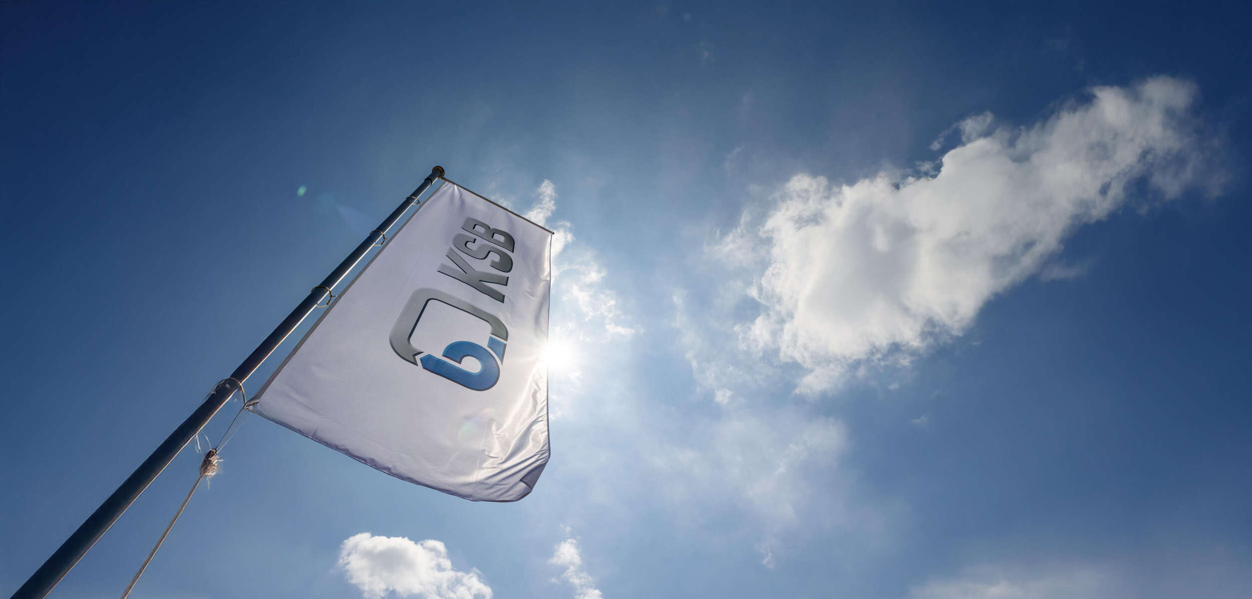 KSB SE & Co. KGaA flag
