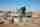 Von KSB unterstütztes Brunnenbau-Projekt in der Sahara