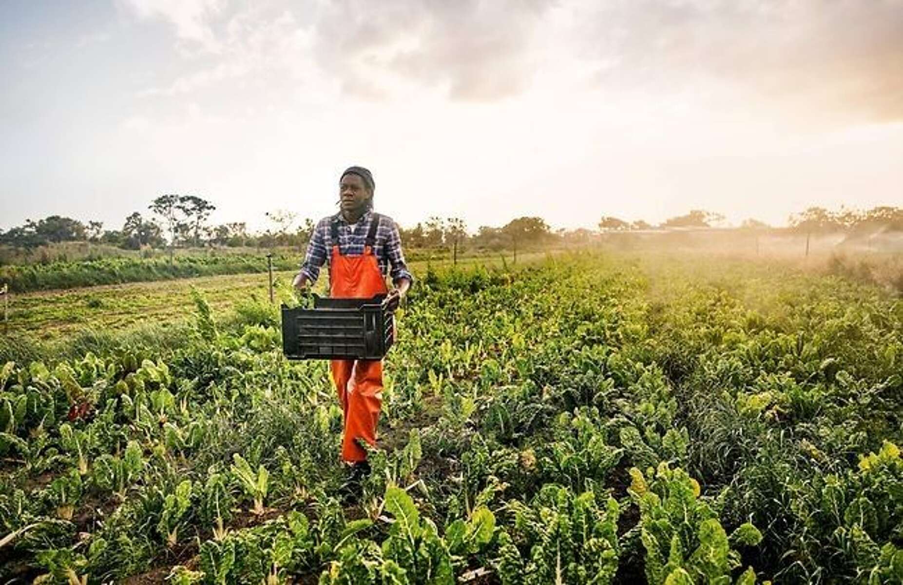 KSB products help actively protect the environment.