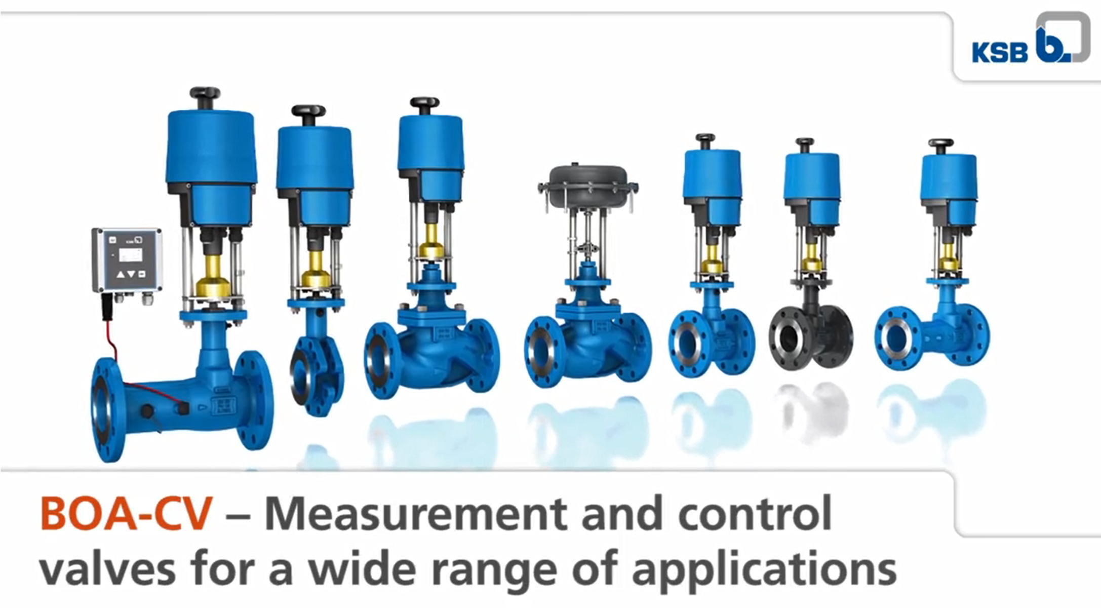 Service-friendly BOA-CVE/CVP H
