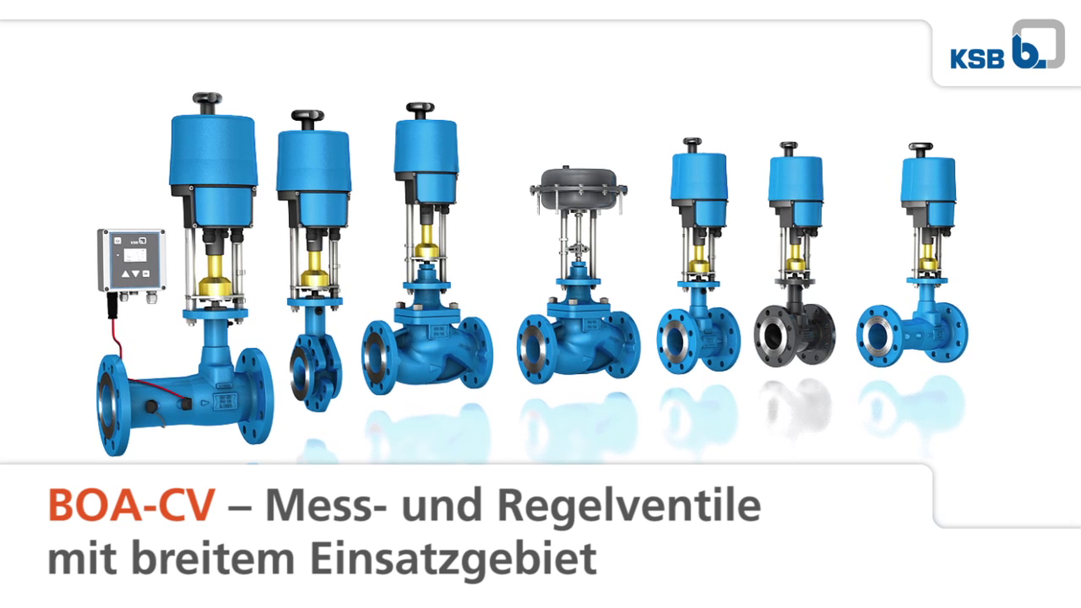 BOA-CVE– Eigenschaften und Funktionsweise