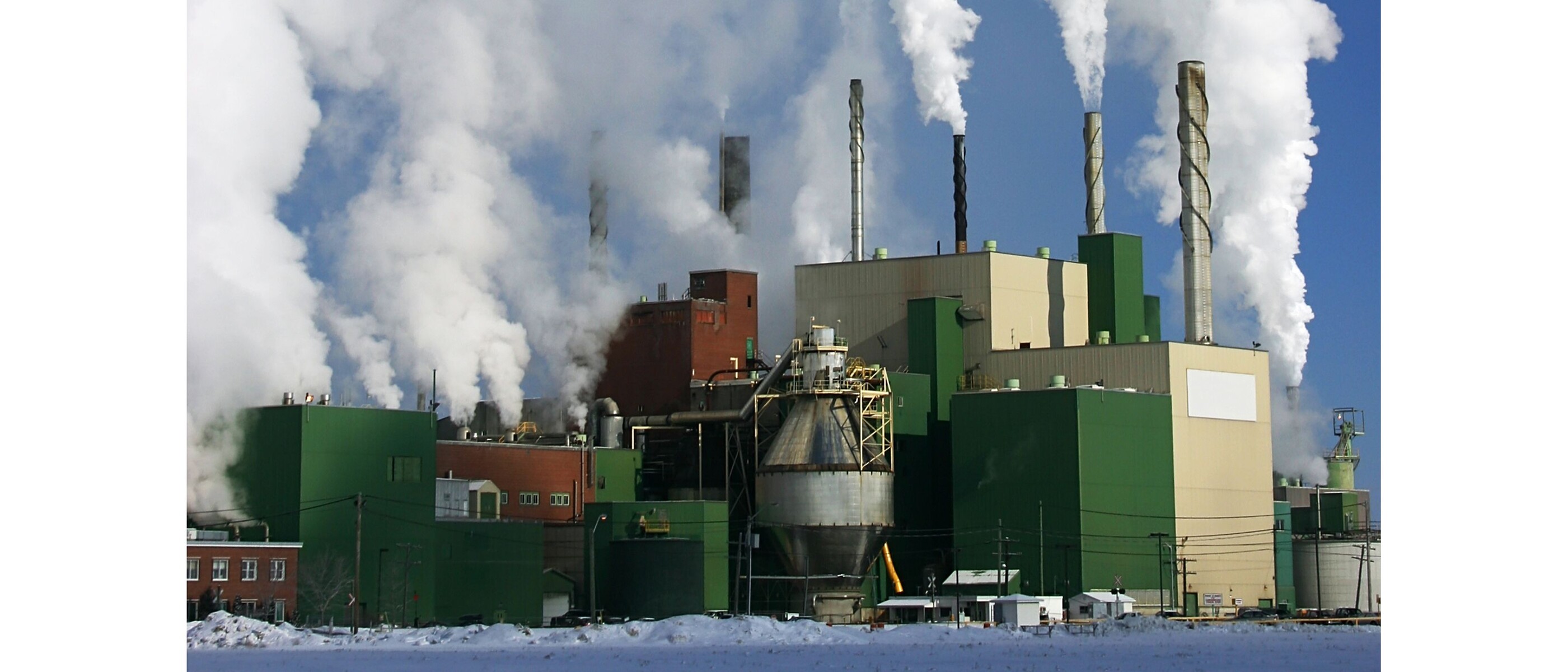 Pulp and paper factory
